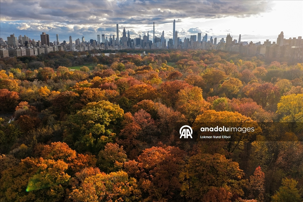 New York'ta sonbahar