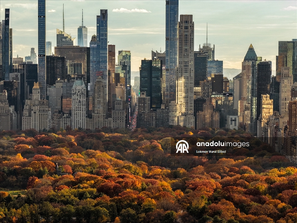 New York'ta sonbahar