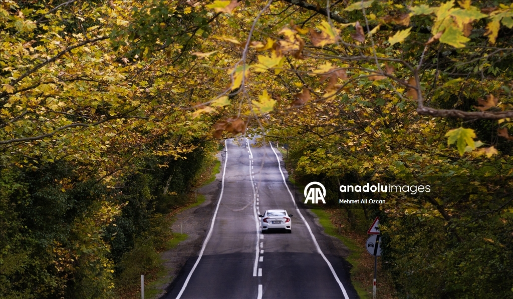 Karabük'te sonbahar