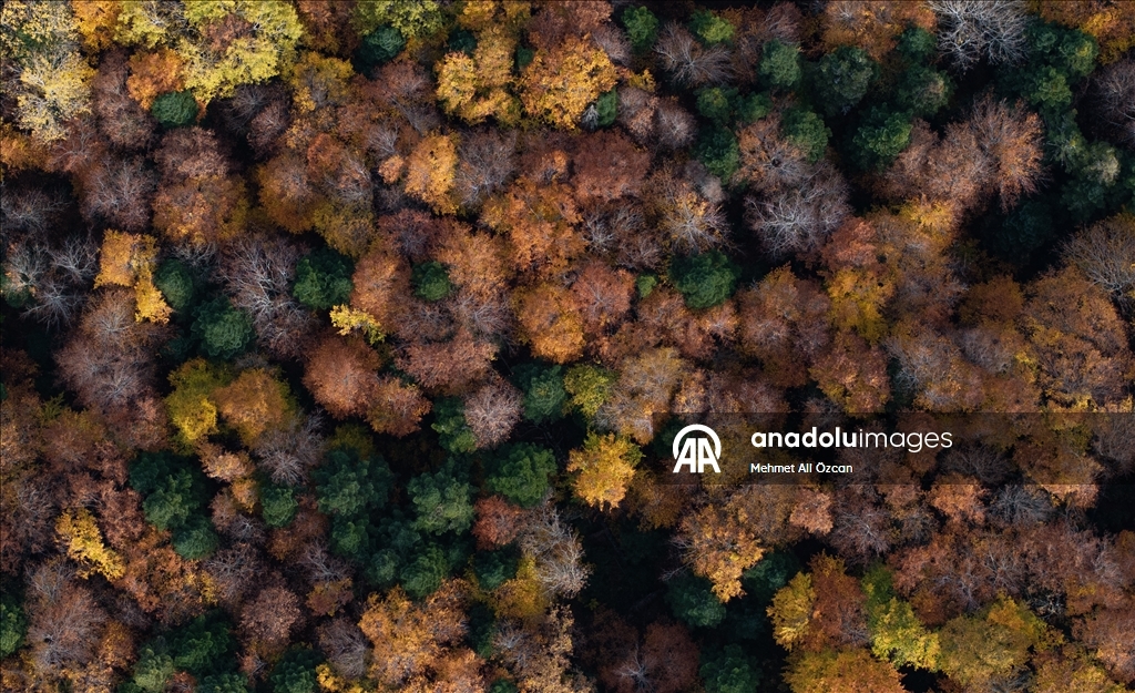 Karabük'te sonbahar