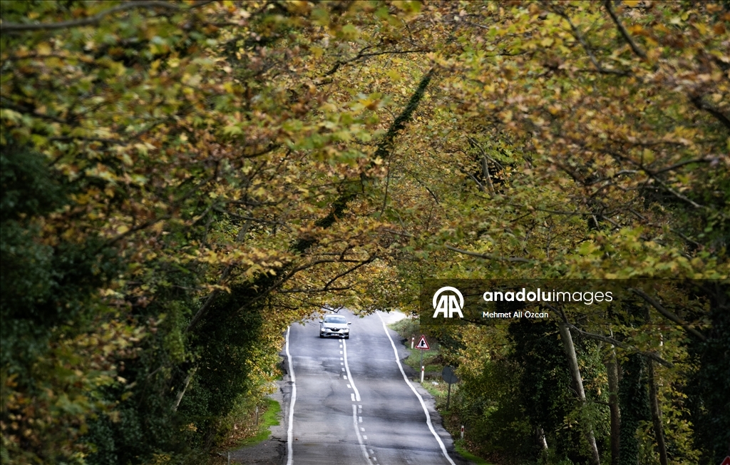 Karabük'te sonbahar