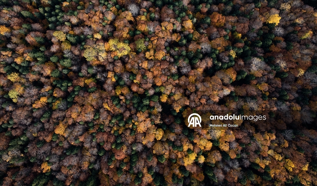 Karabük'te sonbahar