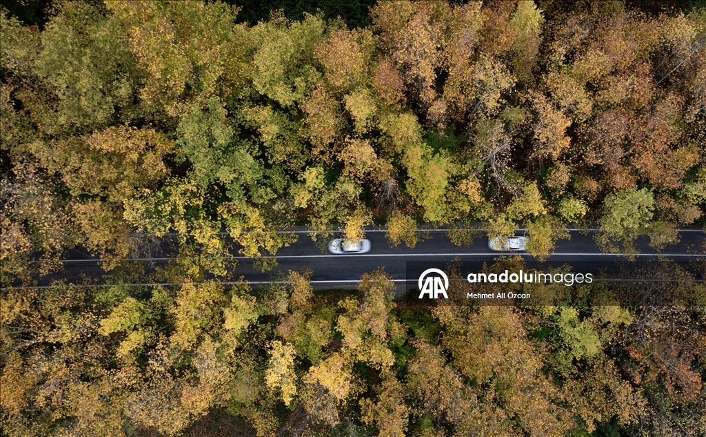 Karabük'te sonbahar