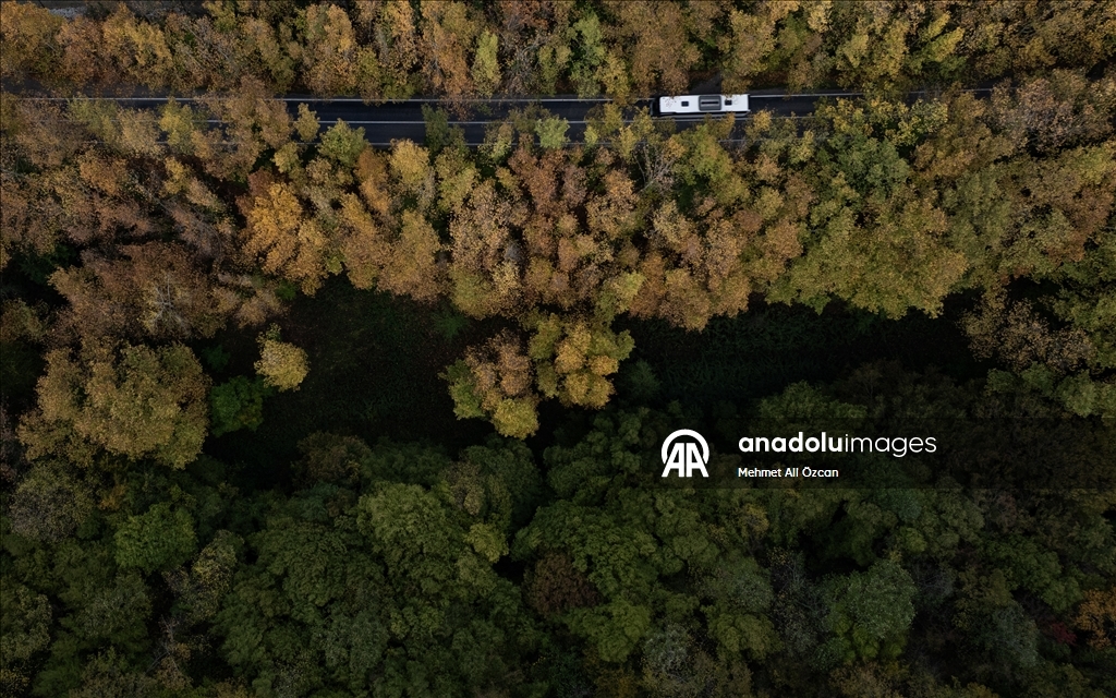 Karabük'te sonbahar