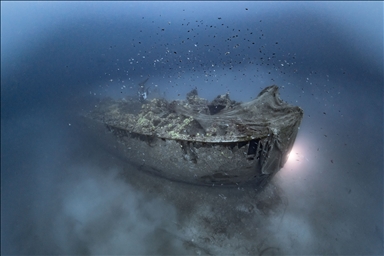 "غاليبولي" تحت الماء.. رحلة في أعماق التاريخ التركي