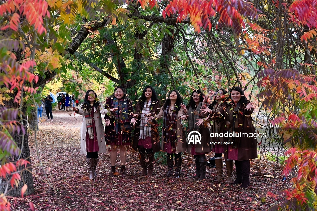 Осенние краски Калифорнии