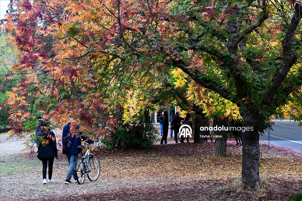 Осенние краски Калифорнии