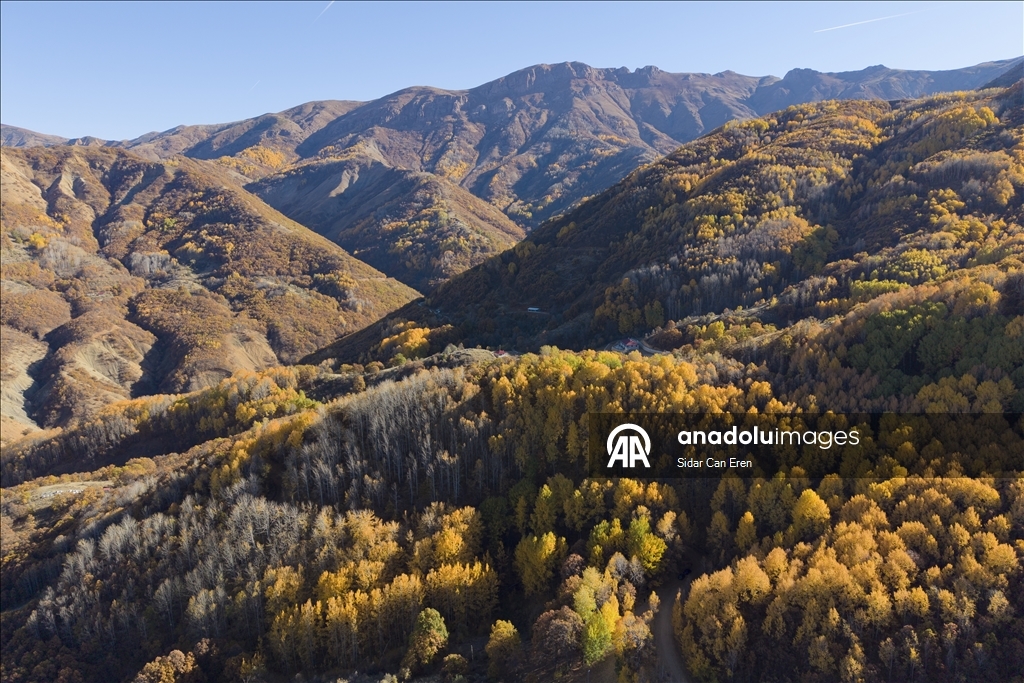 Tunceli'nin Salördek ormanları sonbaharda doğayla buluşmak isteyenleri ağırlıyor