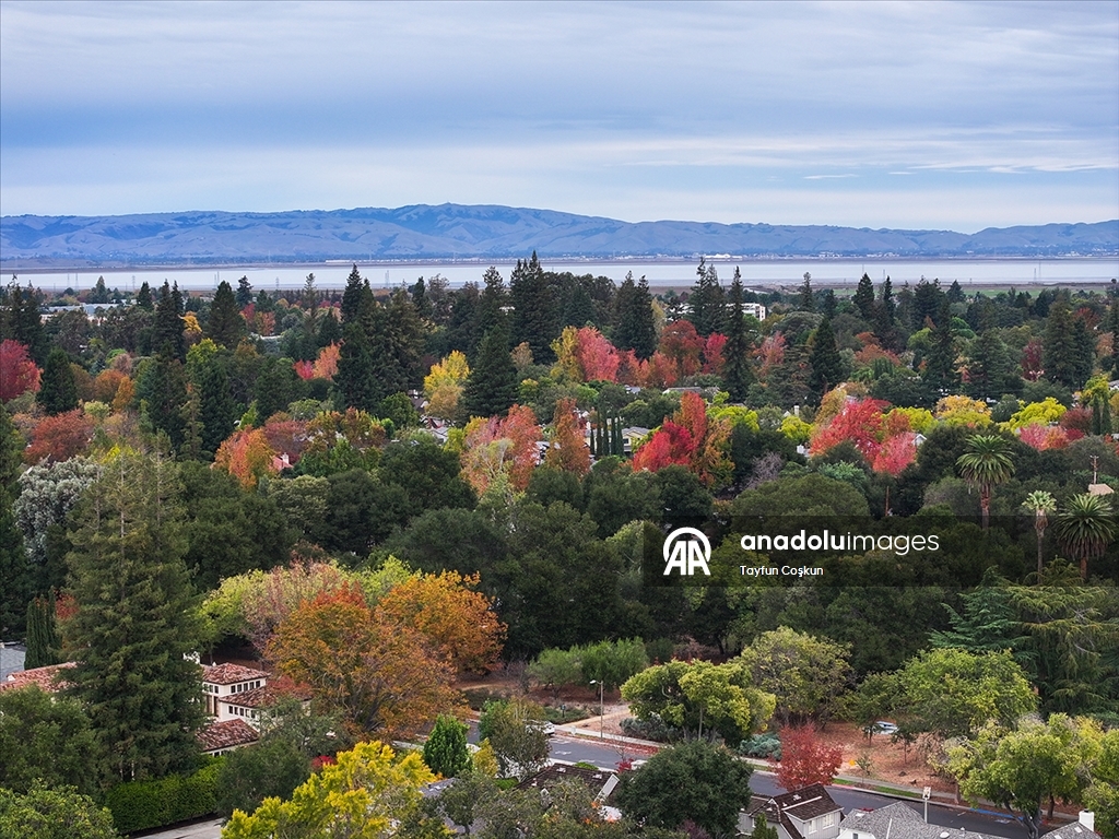 Осенние краски Калифорнии