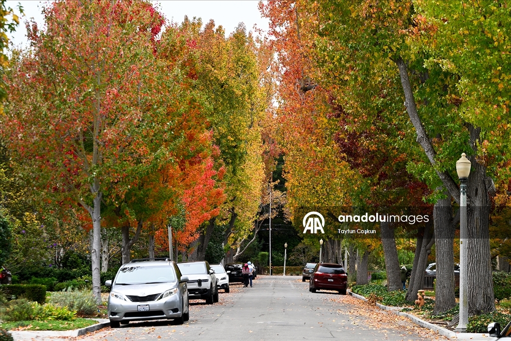 Осенние краски Калифорнии