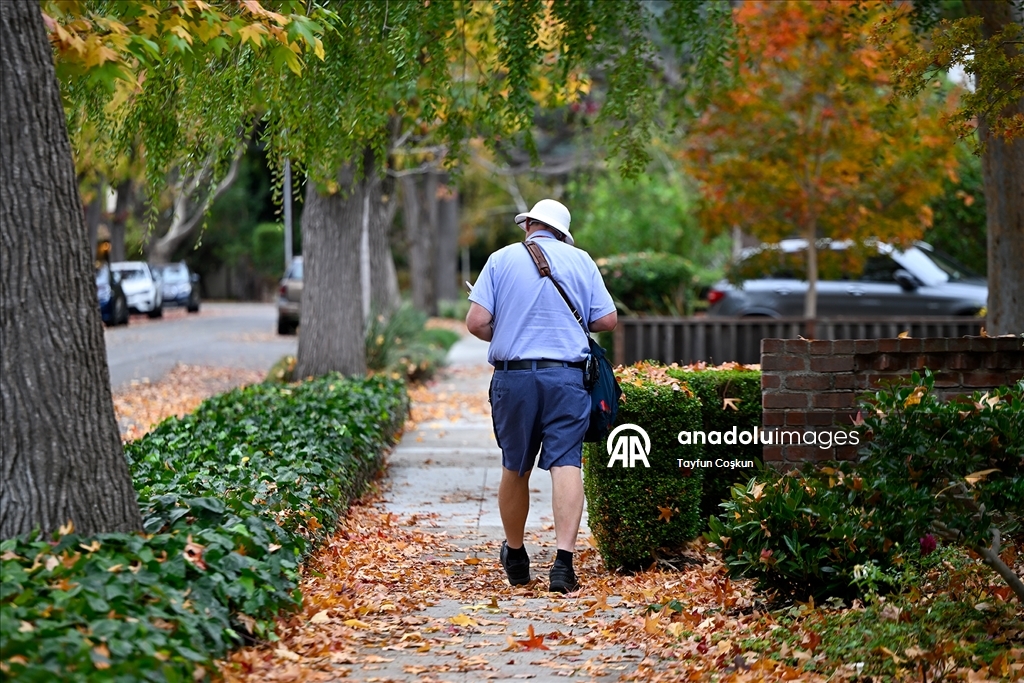 Осенние краски Калифорнии