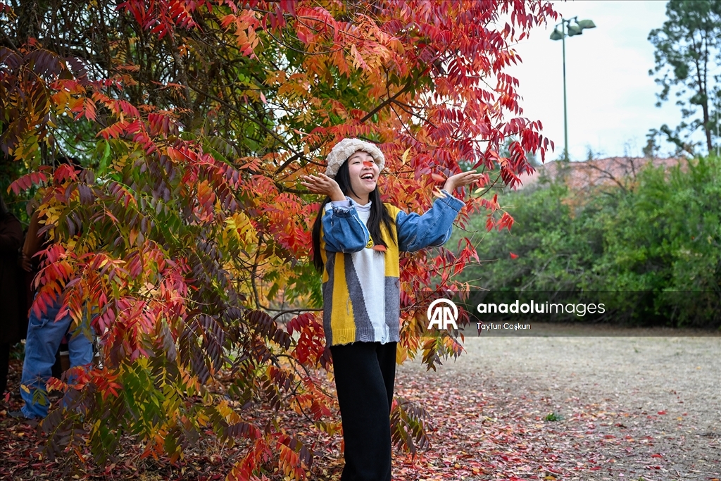 Осенние краски Калифорнии