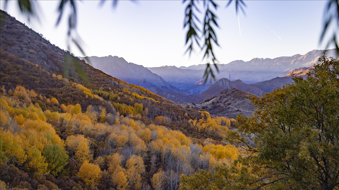 Tunceli'nin Salördek ormanları sonbaharda doğayla buluşmak isteyenleri ağırlıyor
