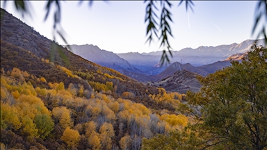 Tunceli'nin Salördek ormanları sonbaharda doğayla buluşmak isteyenleri ağırlıyor