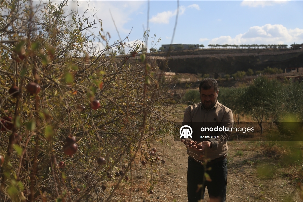 جفاف نهر العاصي يفاقم معاناة المزارعين بإدلب السورية