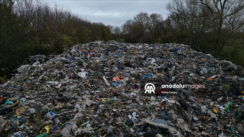 В пойму реки Черуэлл в британском Оксфордшире сбросили сотни тонн мусора