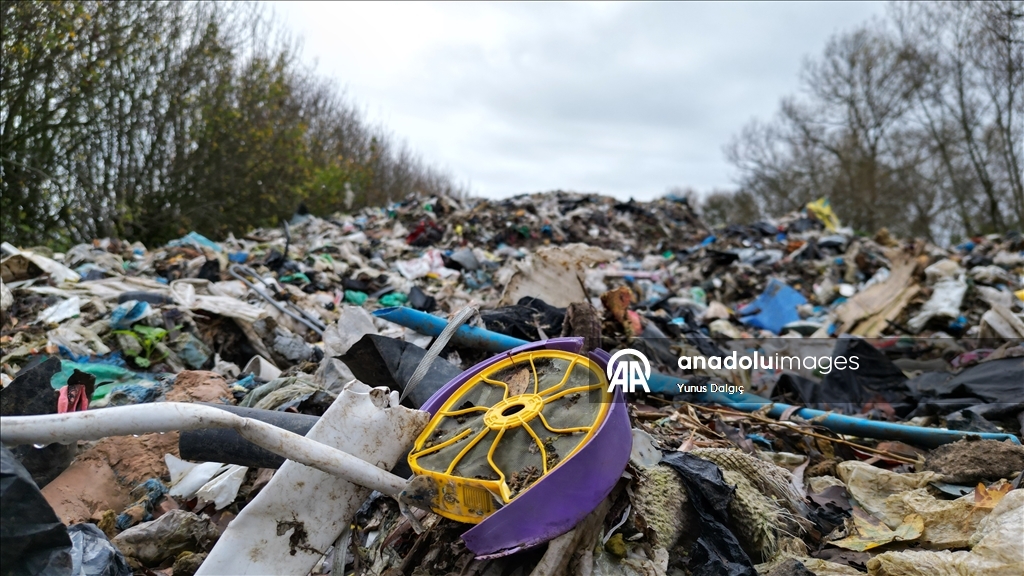 В пойму реки Черуэлл в британском Оксфордшире сбросили сотни тонн мусора