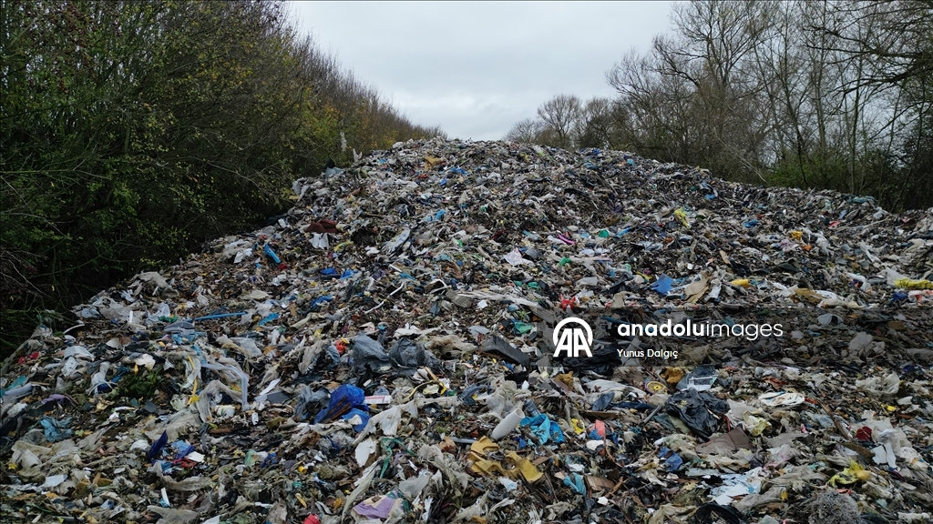 В пойму реки Черуэлл в британском Оксфордшире сбросили сотни тонн мусора