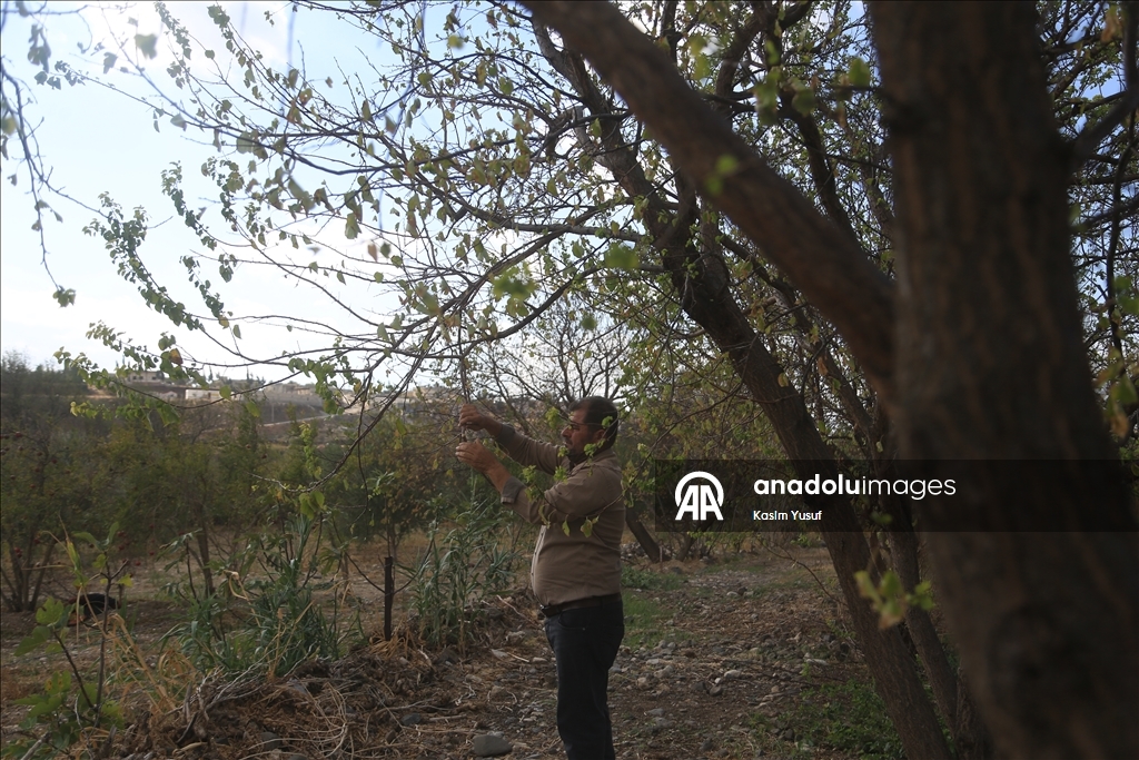 جفاف نهر العاصي يفاقم معاناة المزارعين بإدلب السورية