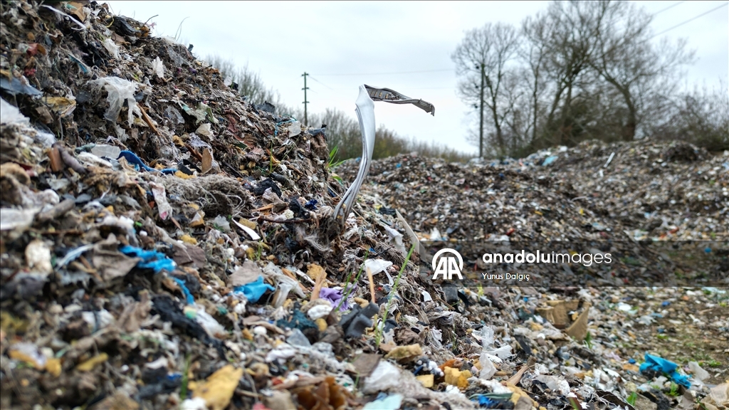 В пойму реки Черуэлл в британском Оксфордшире сбросили сотни тонн мусора