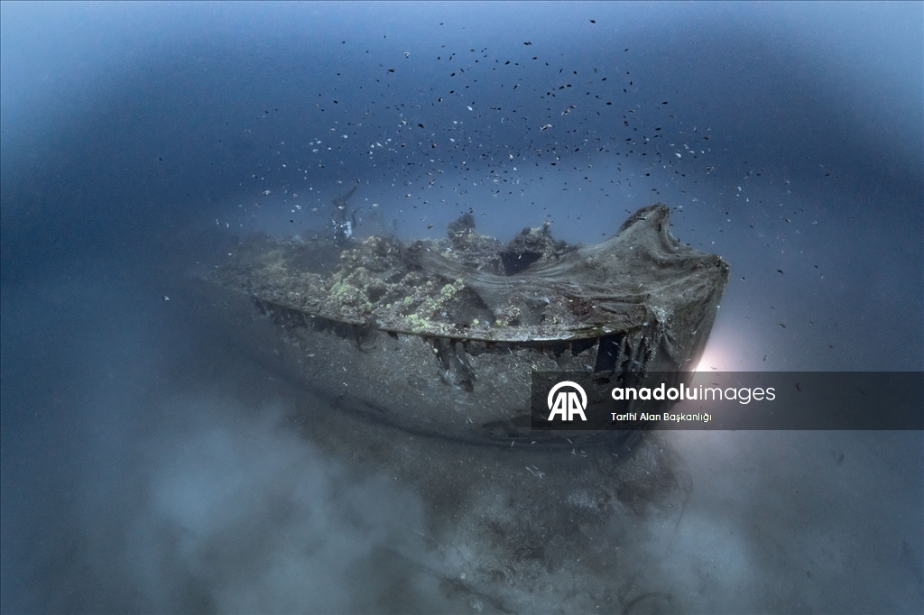 За два года в историческом подводном парке Гелиболу совершили погружения 15 000 дайверов