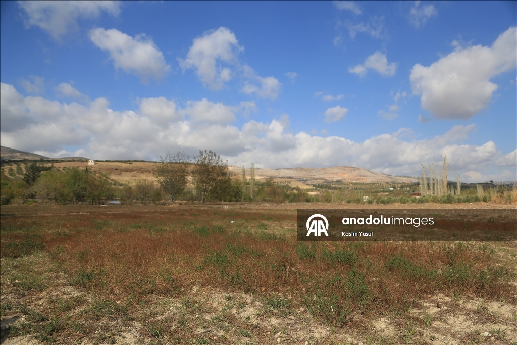 جفاف نهر العاصي يفاقم معاناة المزارعين بإدلب السورية