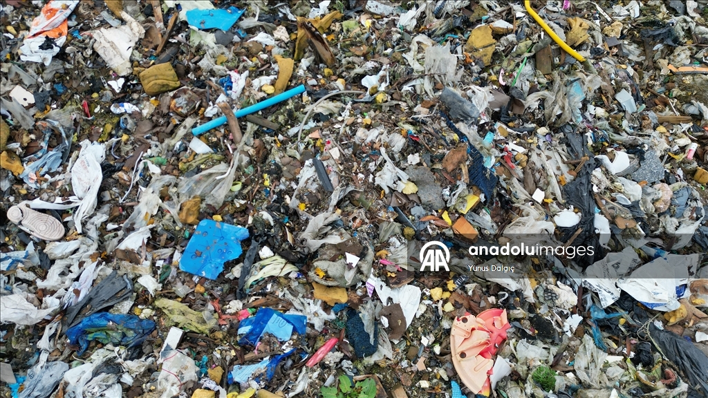 В пойму реки Черуэлл в британском Оксфордшире сбросили сотни тонн мусора