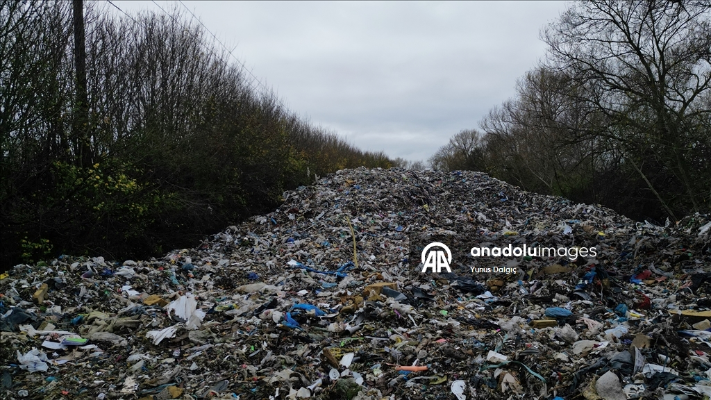 В пойму реки Черуэлл в британском Оксфордшире сбросили сотни тонн мусора