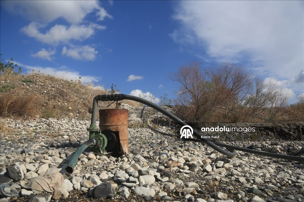 جفاف نهر العاصي يفاقم معاناة المزارعين بإدلب السورية