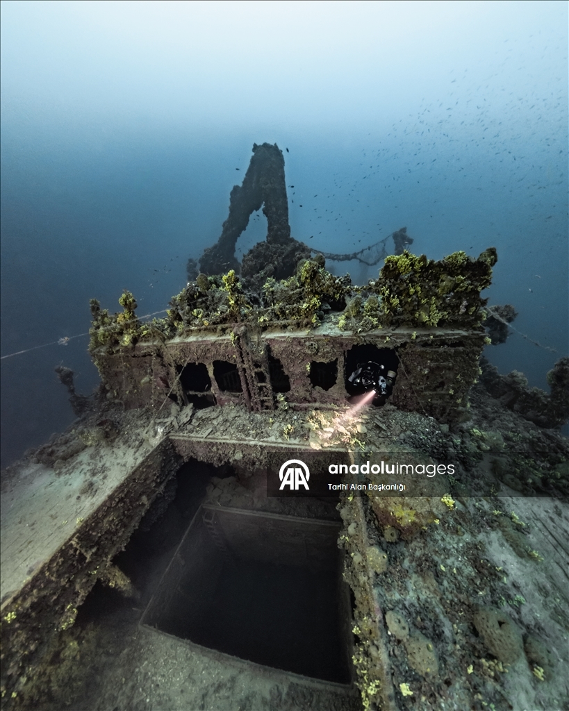 За два года в историческом подводном парке Гелиболу совершили погружения 15 000 дайверов