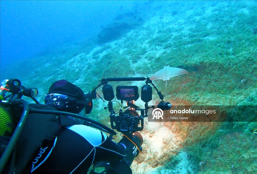 Отечественный подводный скутер