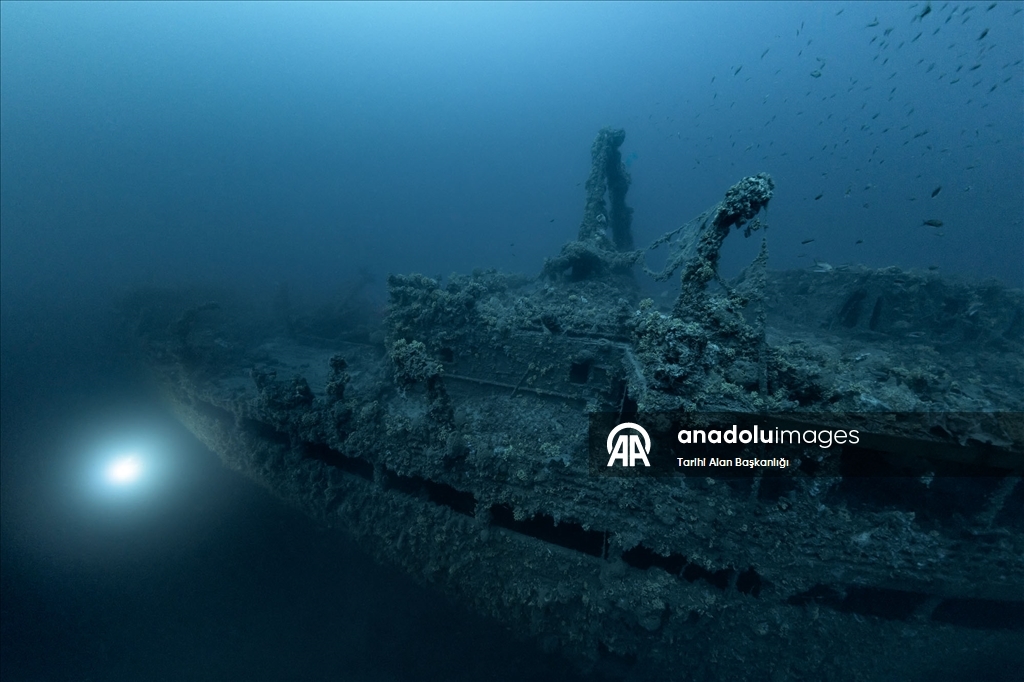 За два года в историческом подводном парке Гелиболу совершили погружения 15 000 дайверов