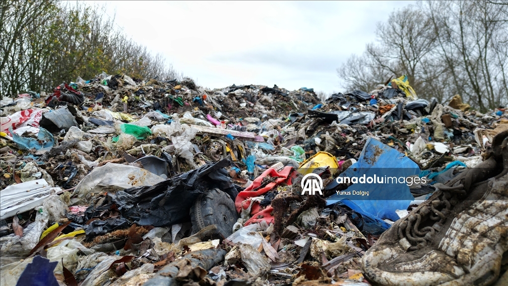 В пойму реки Черуэлл в британском Оксфордшире сбросили сотни тонн мусора