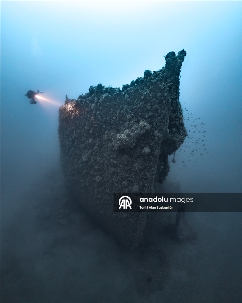 За два года в историческом подводном парке Гелиболу совершили погружения 15 000 дайверов