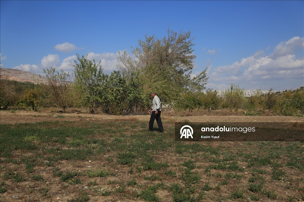 جفاف نهر العاصي يفاقم معاناة المزارعين بإدلب السورية