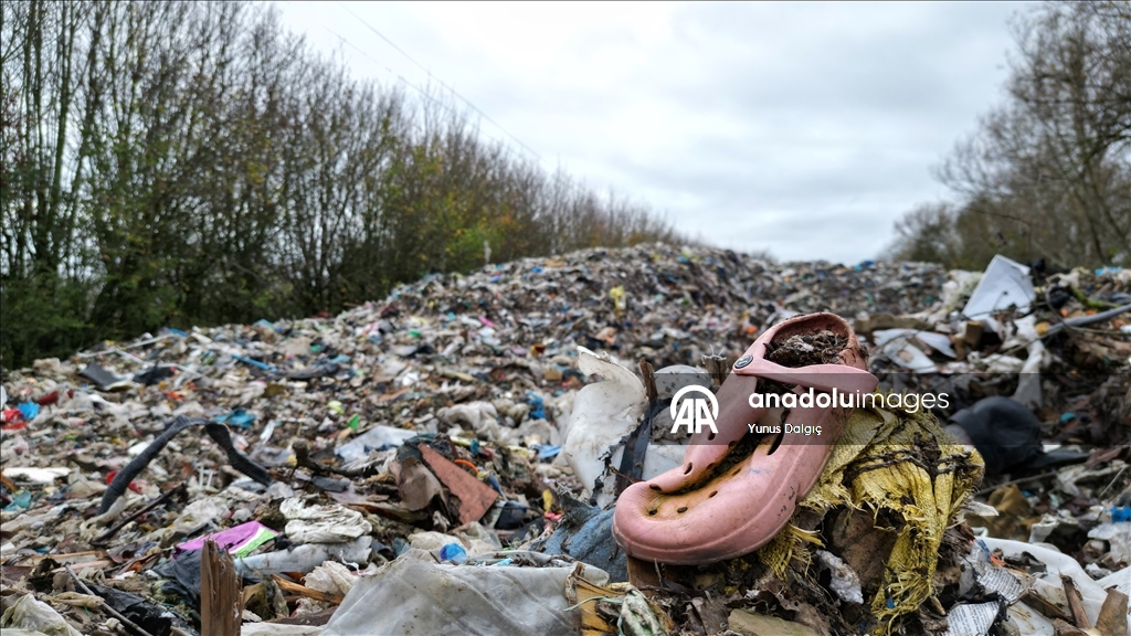 В пойму реки Черуэлл в британском Оксфордшире сбросили сотни тонн мусора