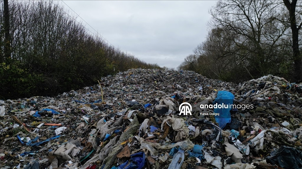 В пойму реки Черуэлл в британском Оксфордшире сбросили сотни тонн мусора