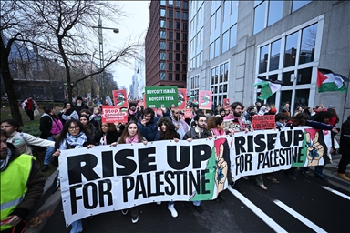 В Брюсселе прошла массовая акция солидарности с Газой