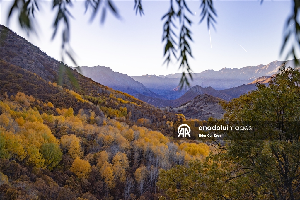 Лес Салордек привлекает любителей осенних пейзажей