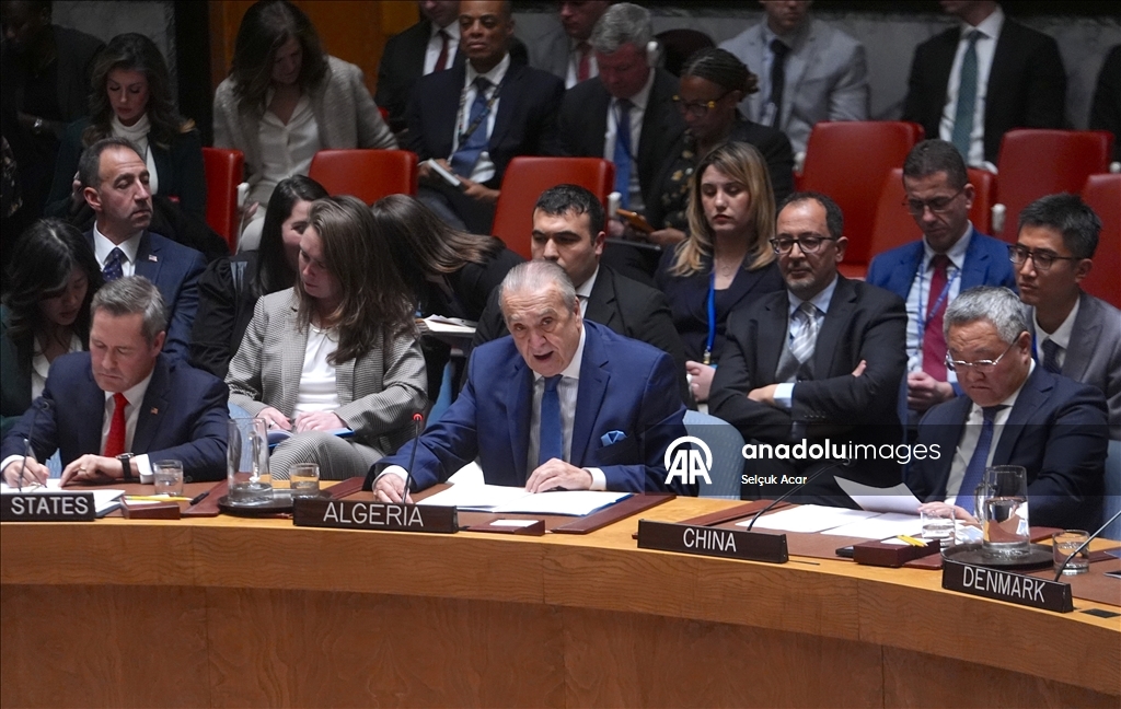 СБ ООН принял предложенную США резолюцию о создании «Международных сил стабилизации» в Газе