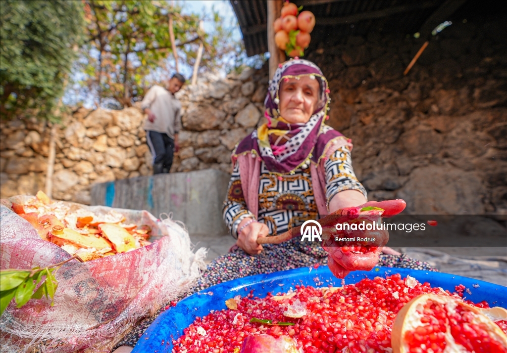 Jinên Diyarbekirî dest bi çêkirina tirşê hinaran kirin