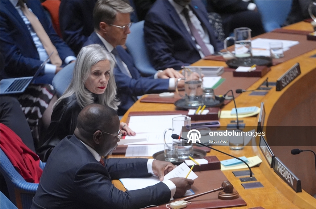 СБ ООН принял предложенную США резолюцию о создании «Международных сил стабилизации» в Газе