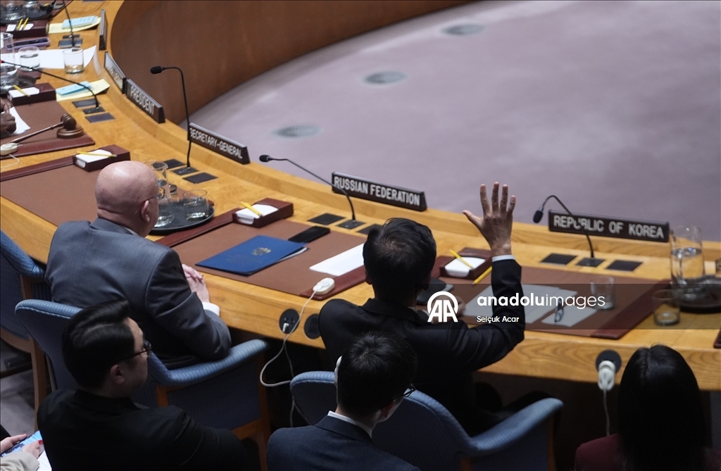 СБ ООН принял предложенную США резолюцию о создании «Международных сил стабилизации» в Газе