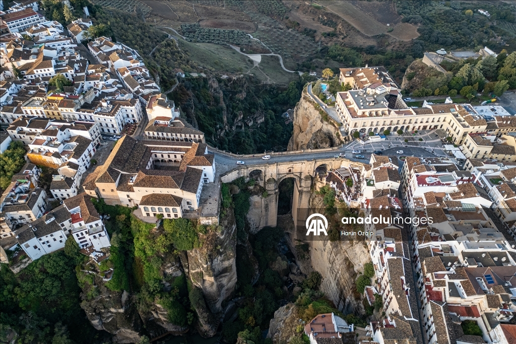 Pireya balkêş ya li Endulusê