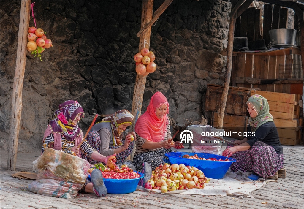 Jinên Diyarbekirî dest bi çêkirina tirşê hinaran kirin
