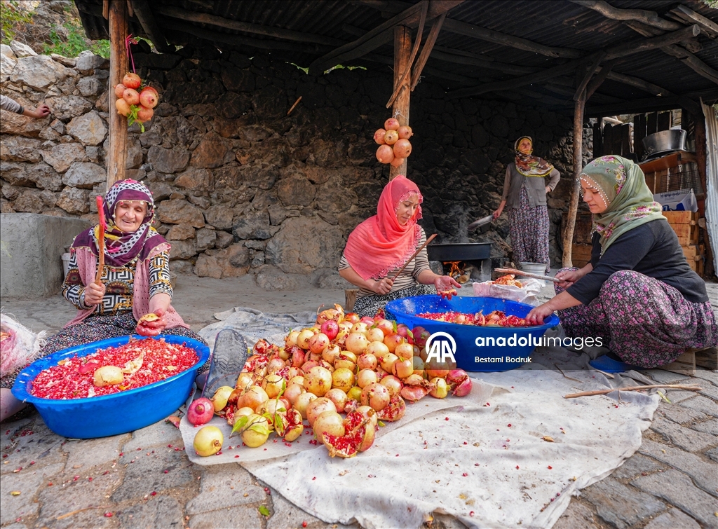 Jinên Diyarbekirî dest bi çêkirina tirşê hinaran kirin