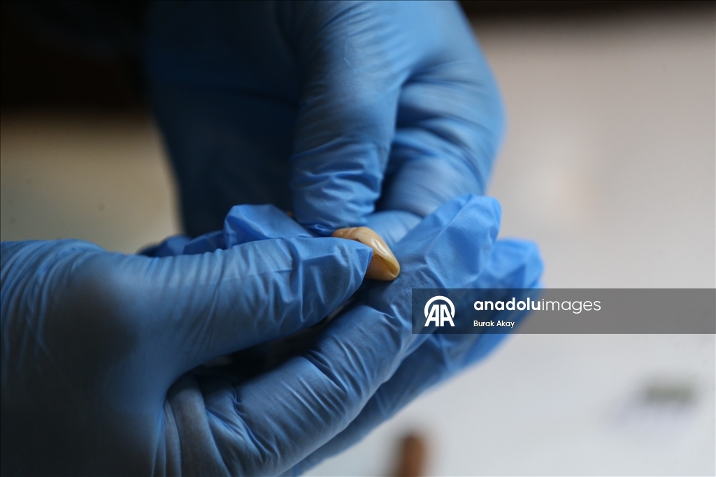 В Трое обнаружены артефакты возрастом 4500 лет