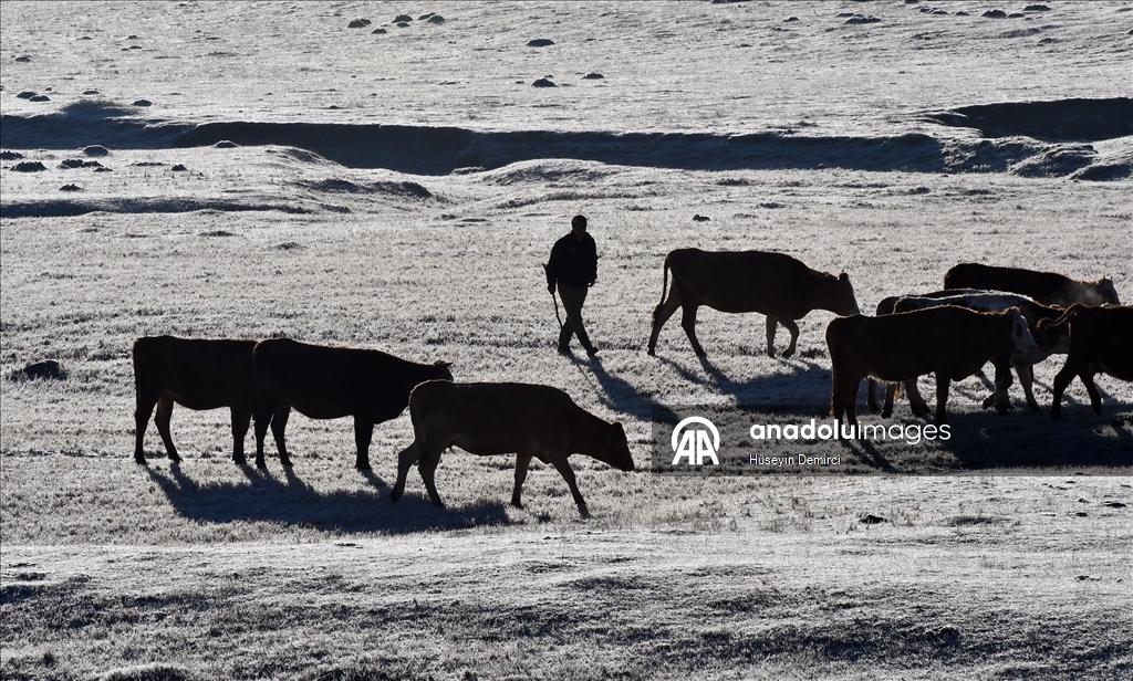 Kars'ta olumsuz hava koşulları etkisini sürdürdü