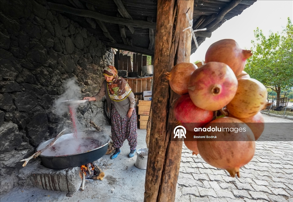 Jinên Diyarbekirî dest bi çêkirina tirşê hinaran kirin
