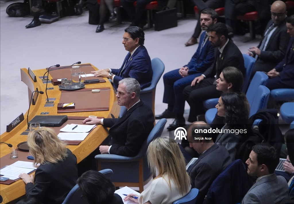 СБ ООН принял предложенную США резолюцию о создании «Международных сил стабилизации» в Газе